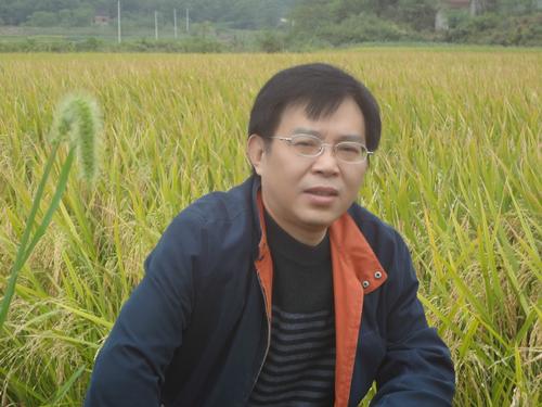 洪